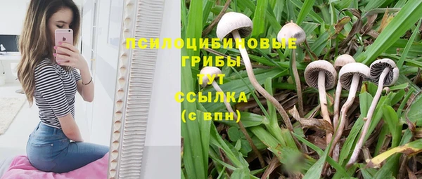 наркотики Ельня