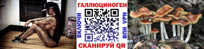Галлюциногенные грибы Magic Shrooms  Купить где  Джанкой 